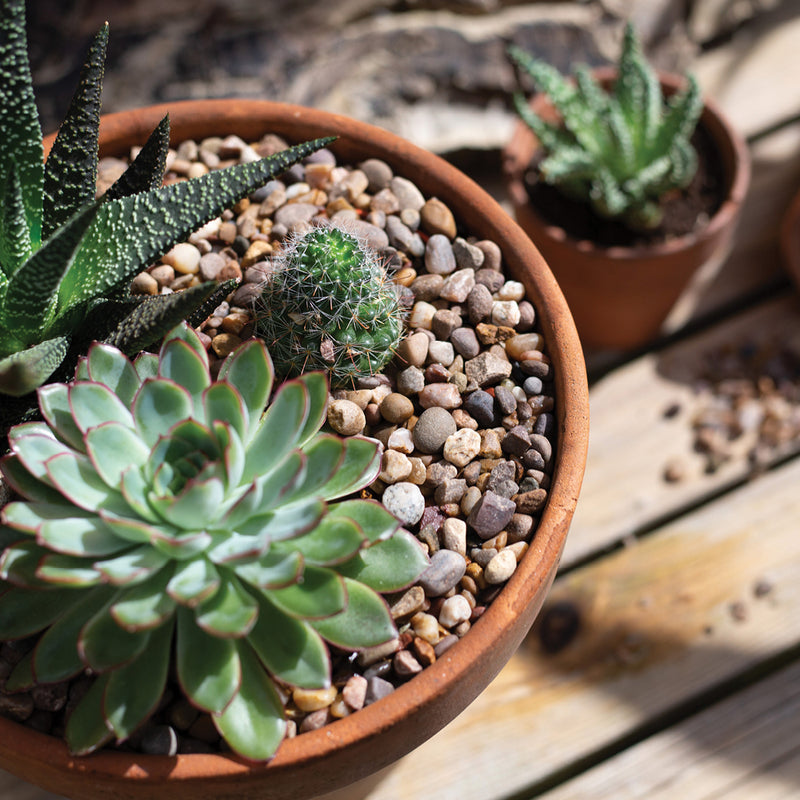 Kelkay Horticultural Washed Gravel
