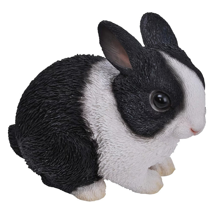 Vivid Arts Baby Dutch Rabbit F
