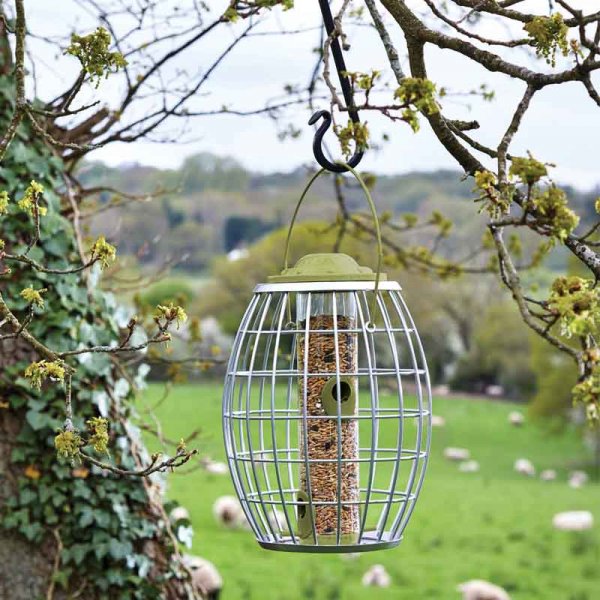 Chapelwood Ultra Squirrel Proof Seed Feeder