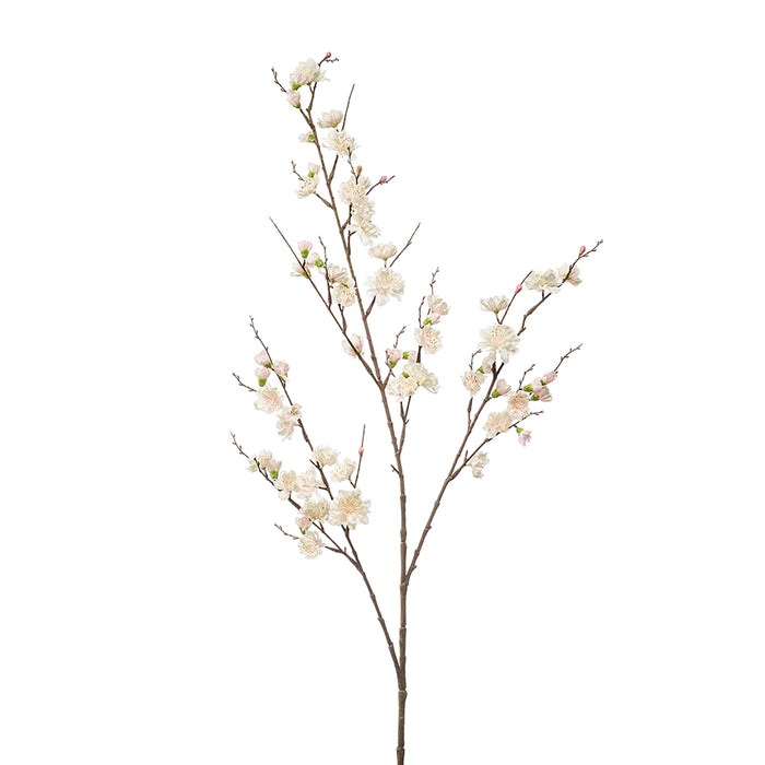 Emerald Blossom Plum Spray Cream 110cm