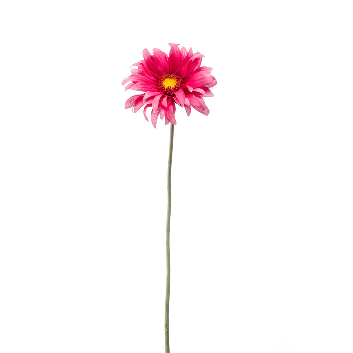 Emerald Gerbera Mini Spray Fuchsia 50cm