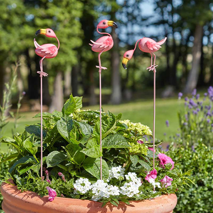 Smart Garden Mingo's