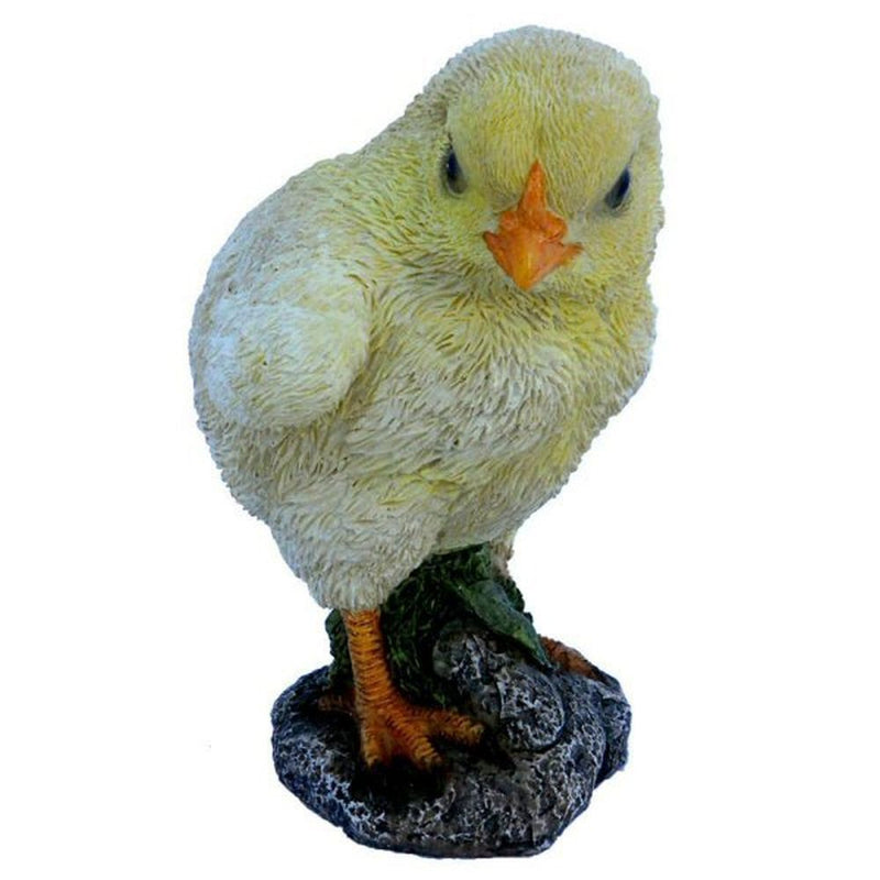 Vivid Arts NF Chick F