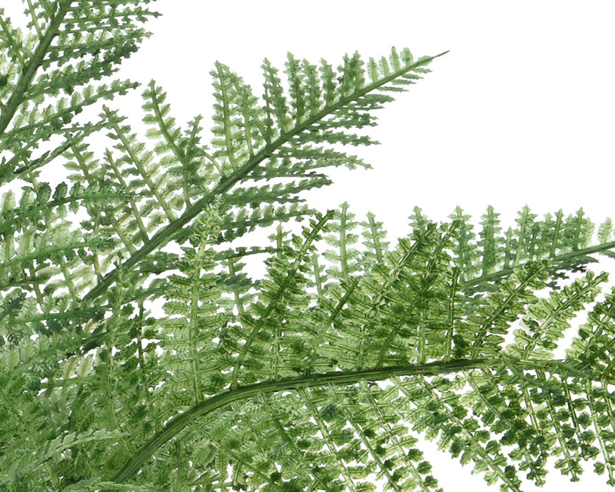 Kaemingk Fern In Pot