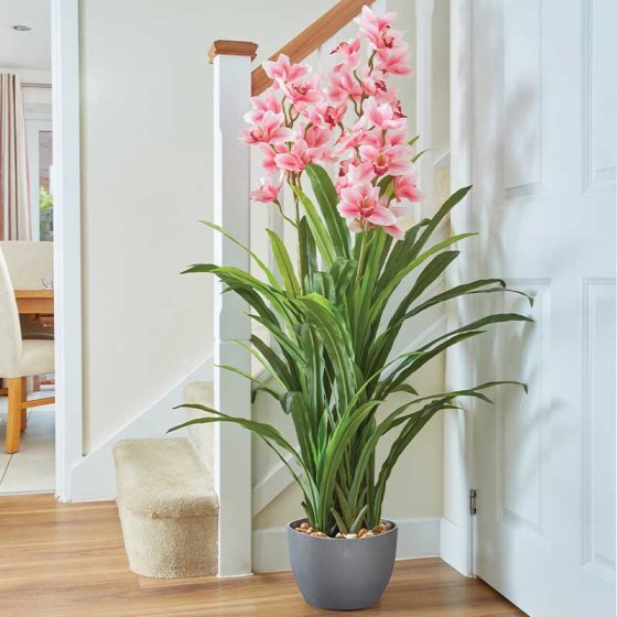 Faux Décor Orchid - 170 cm