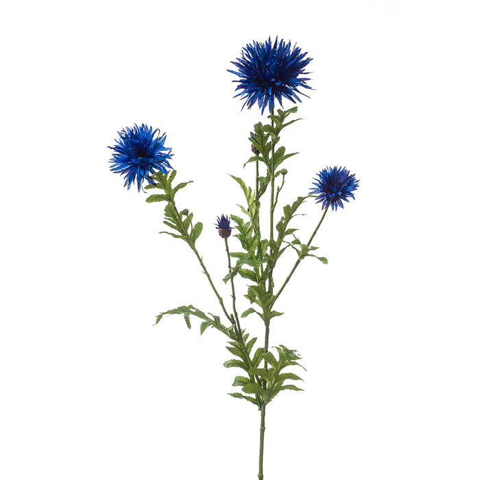 Emerald Centaurea Spray Blue 100cm