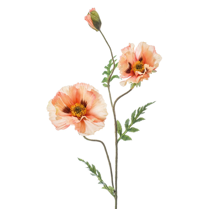 Emerald Poppy Spray X3 90cm Peach