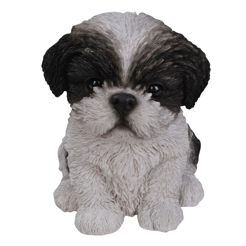 Vivid Arts Pp Shihtzu Puppy B/W F
