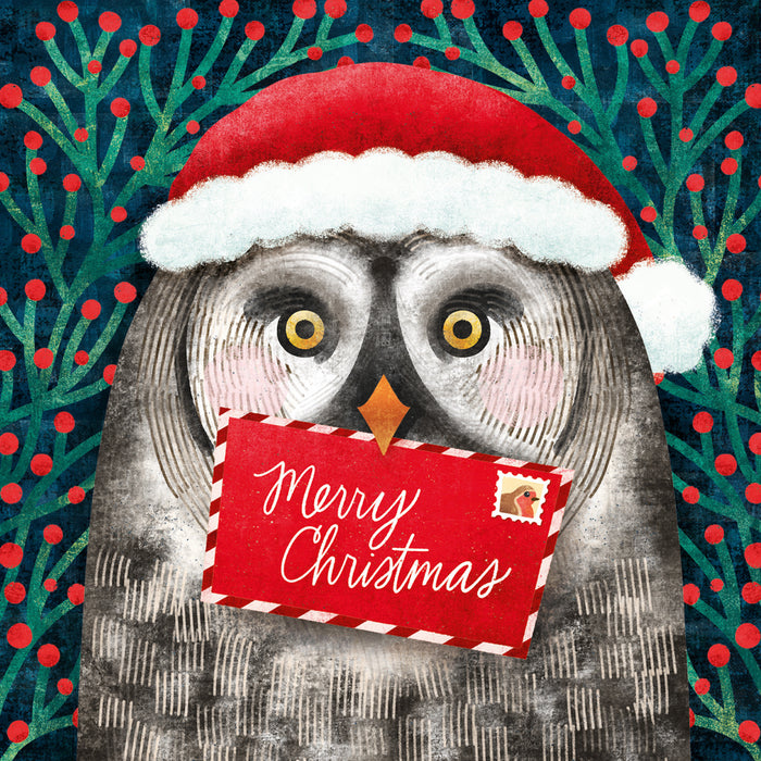 Abacus Xmas 2024 Packs - Festive Owl