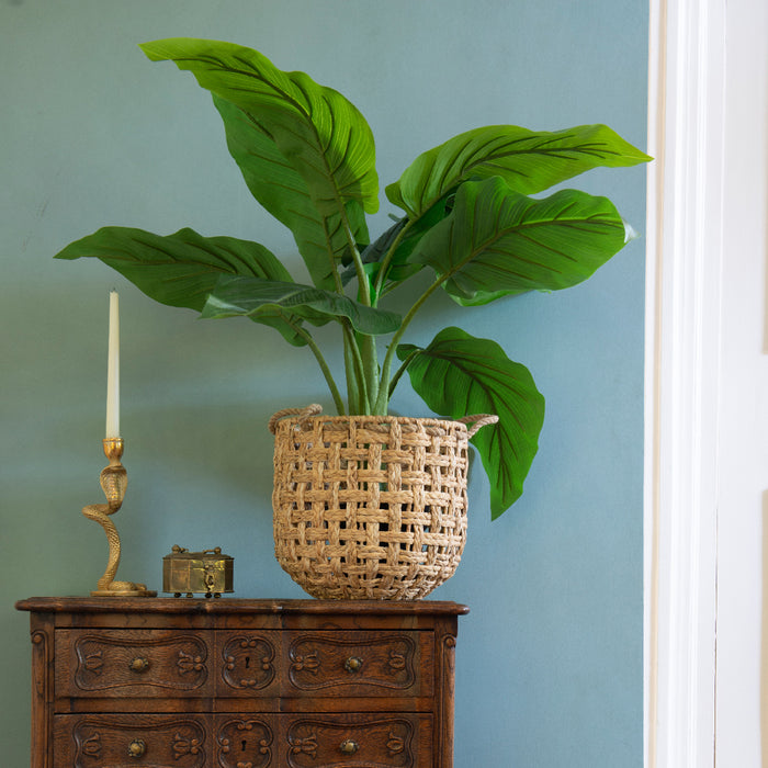 Kaemingk Taro Taro In Pot Plastic