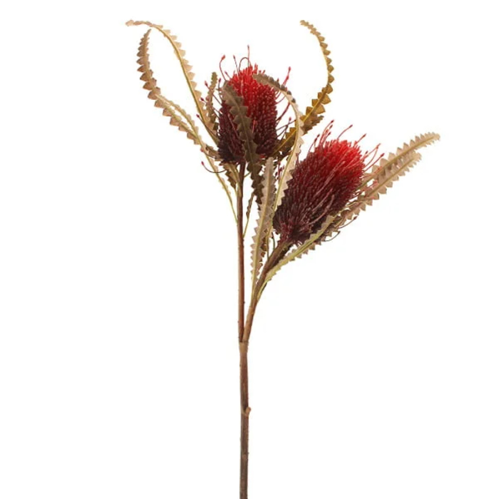Sage Décor  Dried Image Protea Spray 2 Heads 74Cm