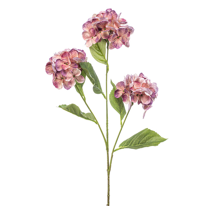 Emerald Hydrangea Spray x3 Peach/Purple 75cm