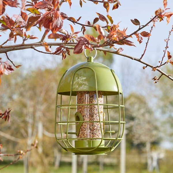 Chapelwood Acorn Squirrel Proof Seed Feeder
