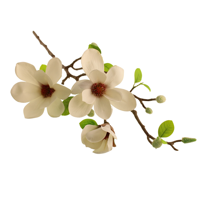 Sage Décor  Magnolia Grandiflora Spray 74Cm