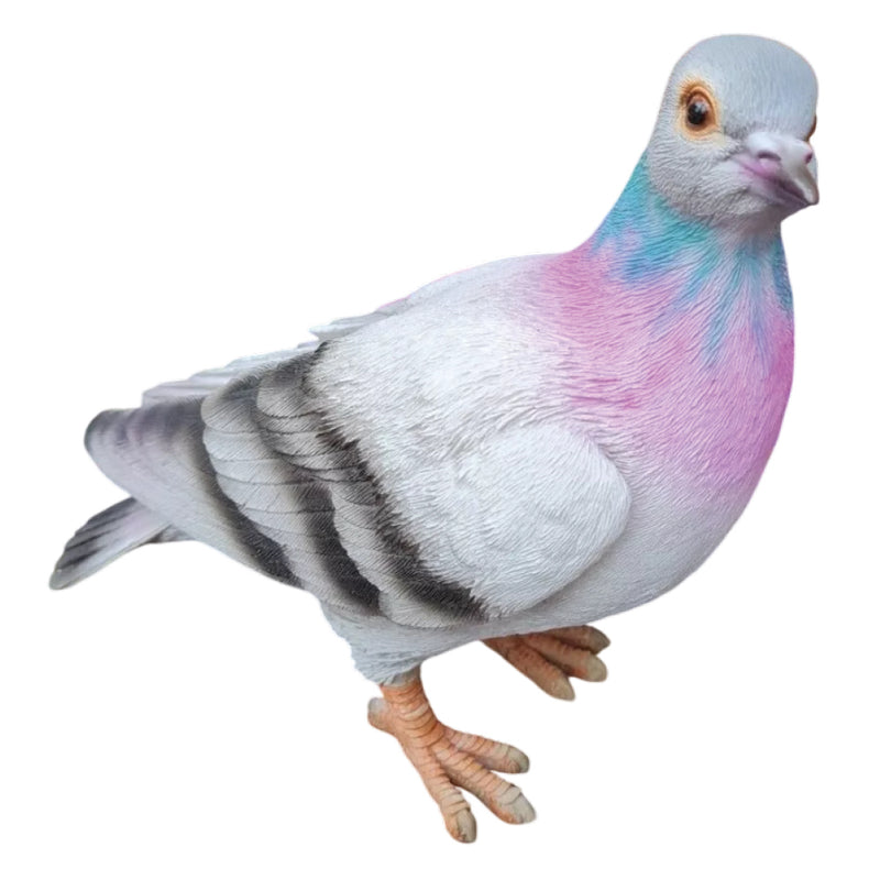Vivid Arts RL Pigeon