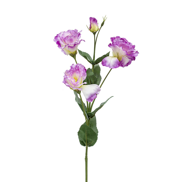 EEG Eustoma spray 68cm lt Purple