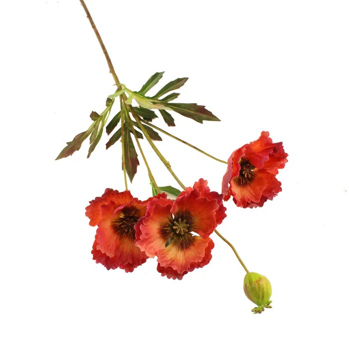 Sage Décor  Shirley Poppy 70Cm