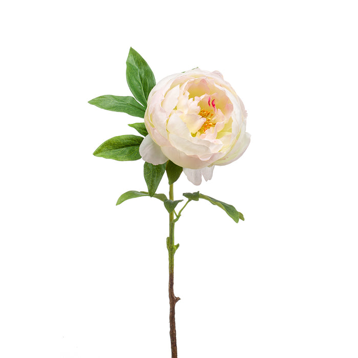 EEG Peony Spray Cream/Pink 63cm