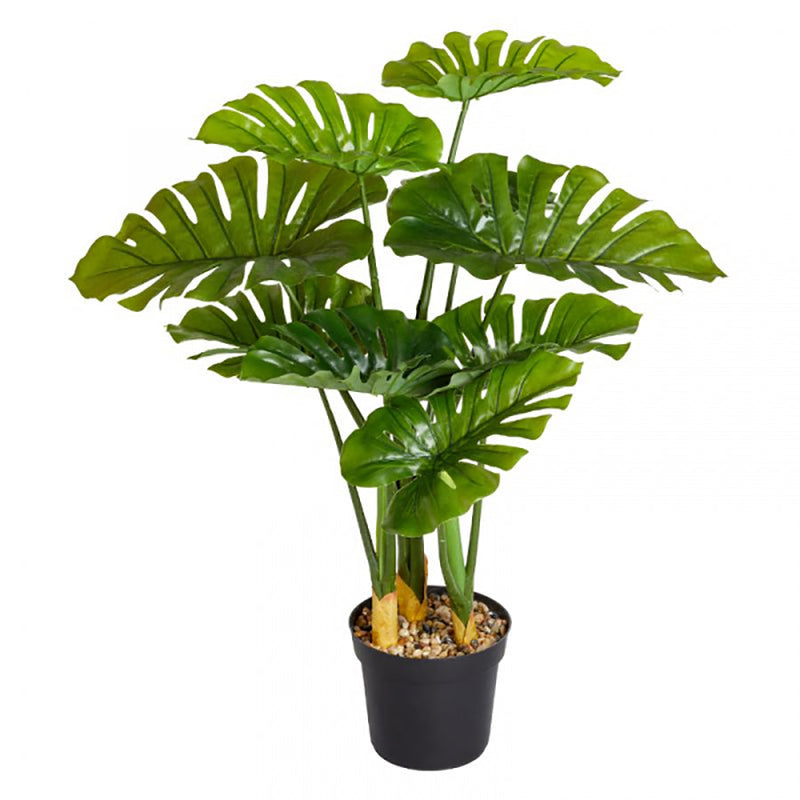 Smart Garden Swiss Cheese 89 cm