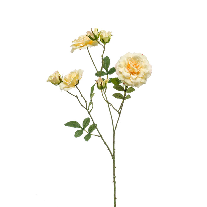 EEG Rose English Spray Yellow 68cm
