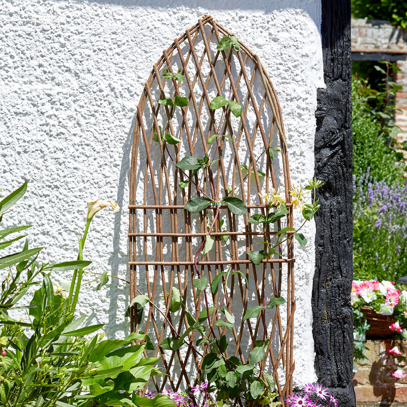 Smart Garden Extra Strong Framed Willow Trellis - Gothic 1.8 x 0.60m