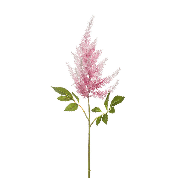Emerald Astilbe Spray Pink 65cm