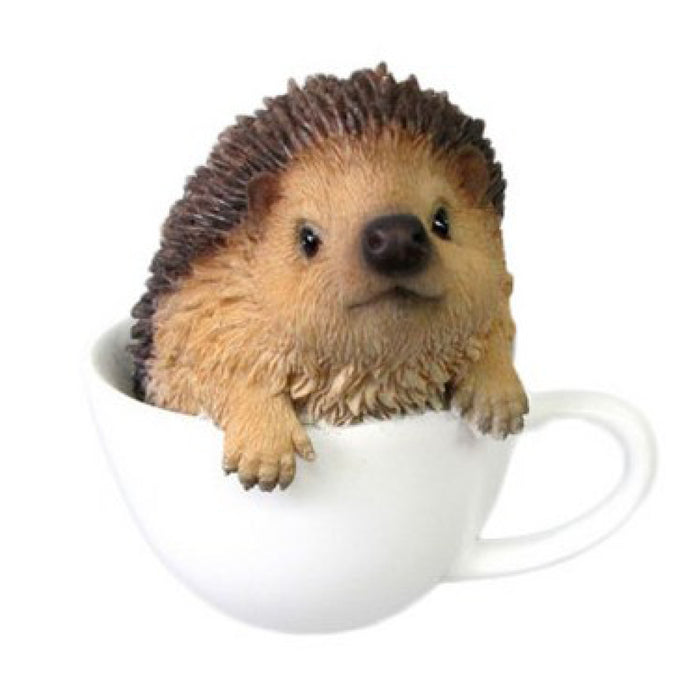 VIVID  Teacup Baby Hedgehog