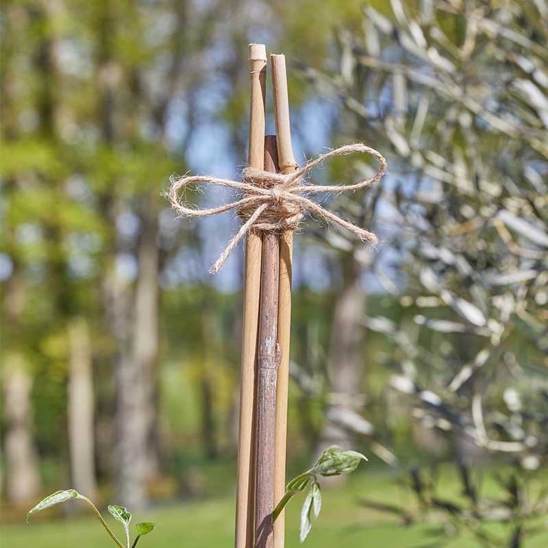Smart Garden Garden & Home Twine - Natural 500G