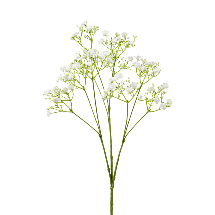 Emerald Gypsophila Spray White 68cm