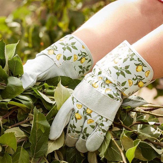 Briers Sicilian Lemon Premium Lightweight Rigger Med/ Size 8