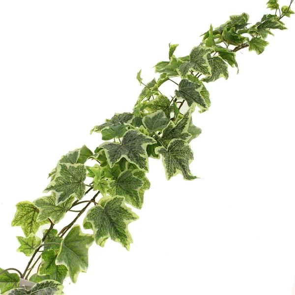 Sage Décor  Outdoor Ivy Garland 180Cm