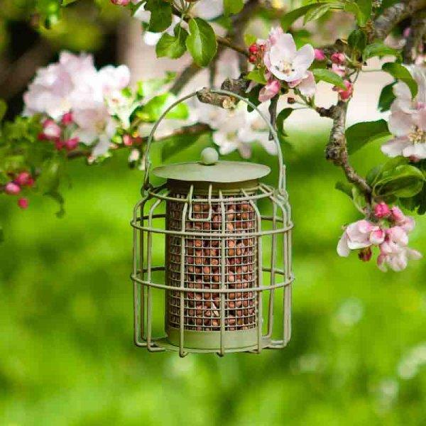 Chapelwood Compact Squirrel Proof Peanut Feeder