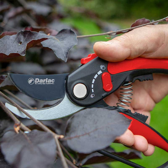 Darlac Adjustable Bypass Pruner