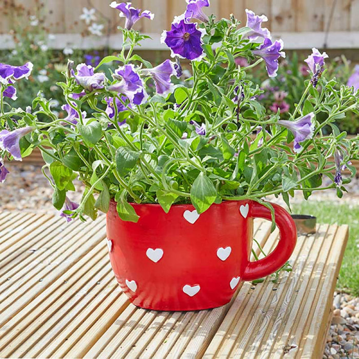 Smart Garden Teacup Heart Planter