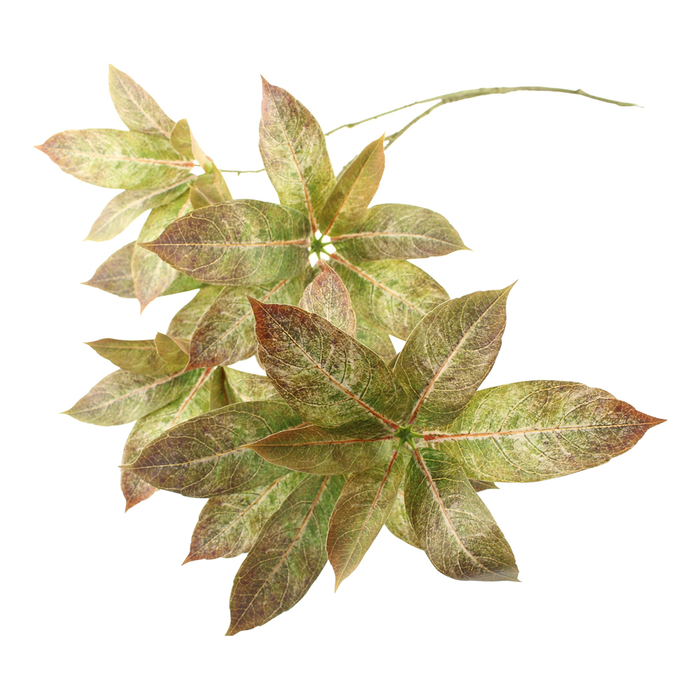 Sage Décor  Pieris Andromeda Spray 115Cm