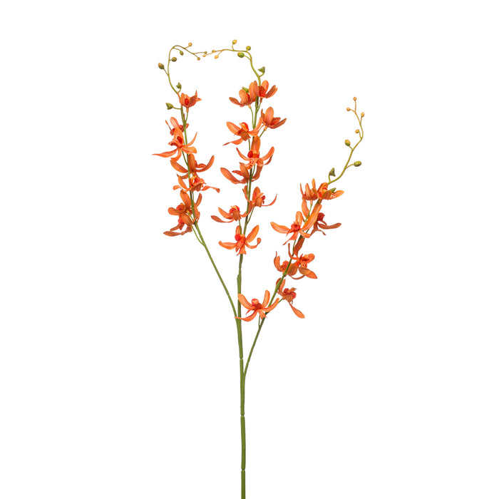 Emerald Cymbidium Spray X3 Orange 90cm