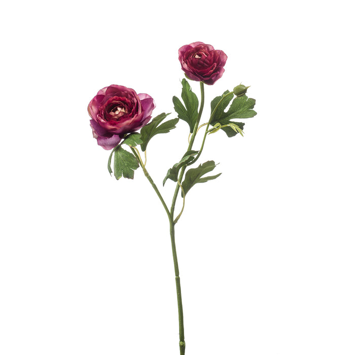 Emerald Ranunculus Spray X2 Purple 46cm