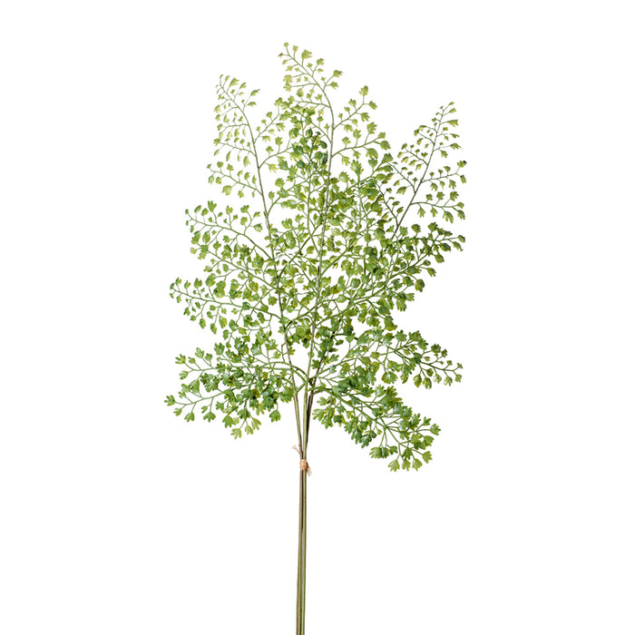 Emerald Adianthum Spray Bundle x3 58cm Green