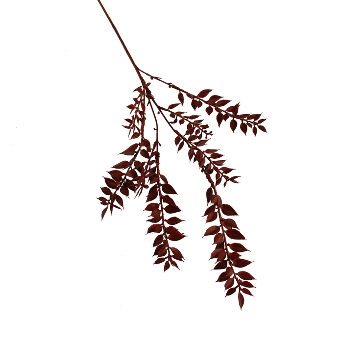 Sage Décor  Ruscus Spray 70Cm