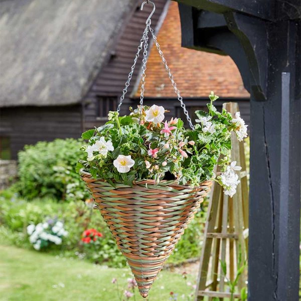 Smart Garden 14in Forester Cone