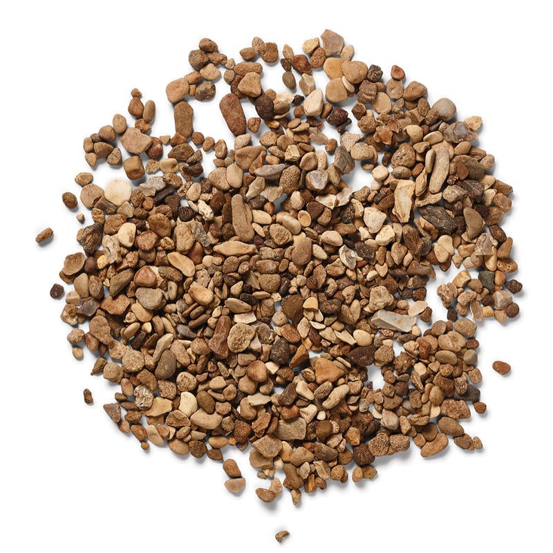 Kelkay Autumn Gold