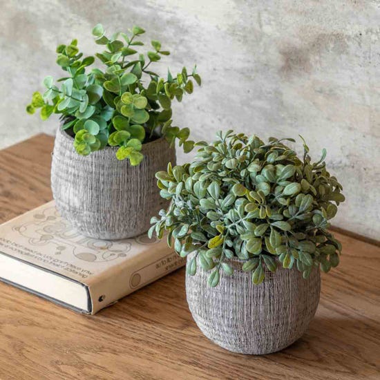 Gallery Potted Plant Ceramic Scratch Pots Sage Set of 2 Green