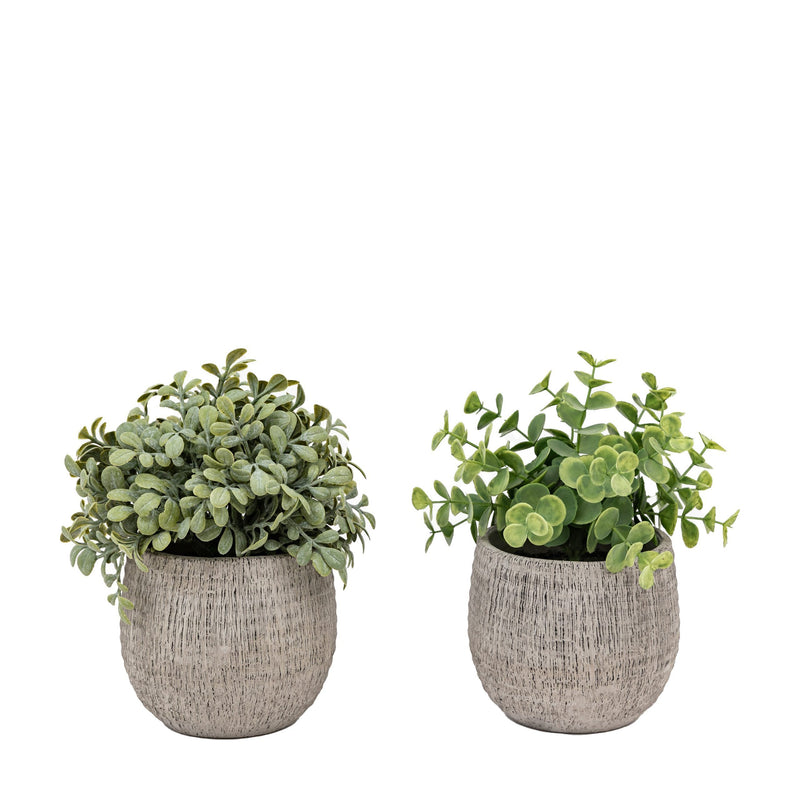 Gallery Potted Plant Ceramic Scratch Pots Sage Set of 2 Green