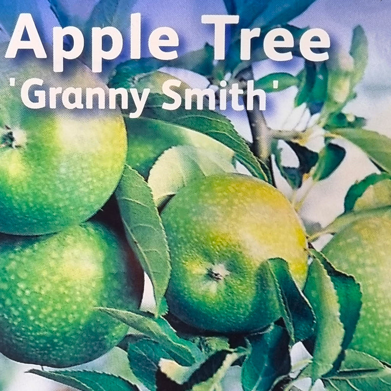 APPLE Granny Smith 10ltr
