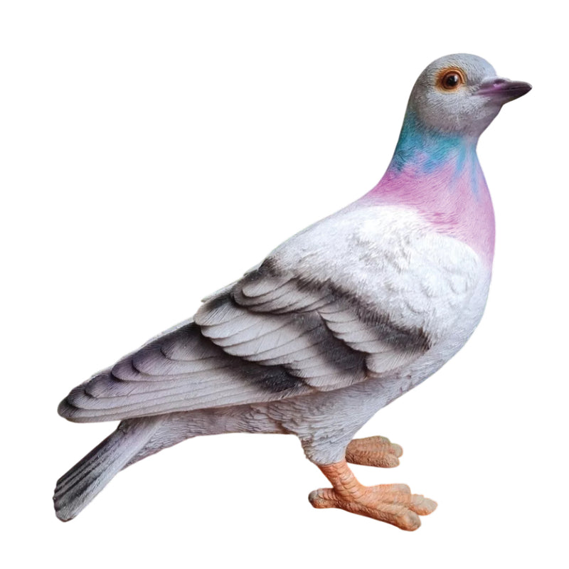 Vivid Arts RL Pigeon