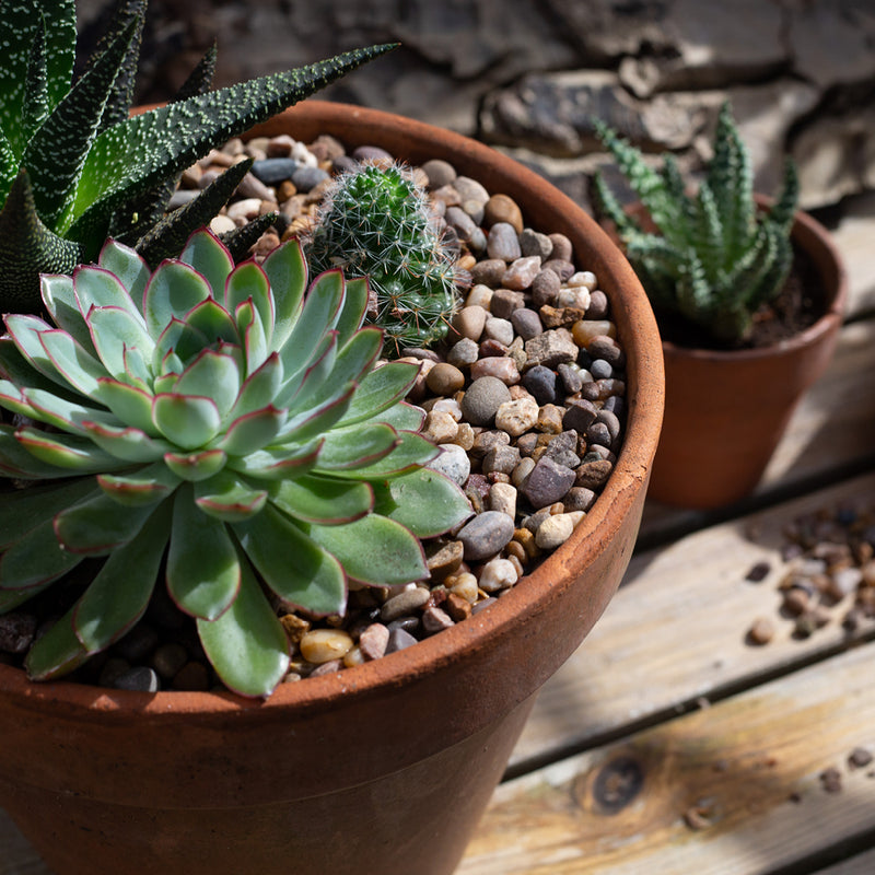 Kelkay Horticultural Washed Gravel