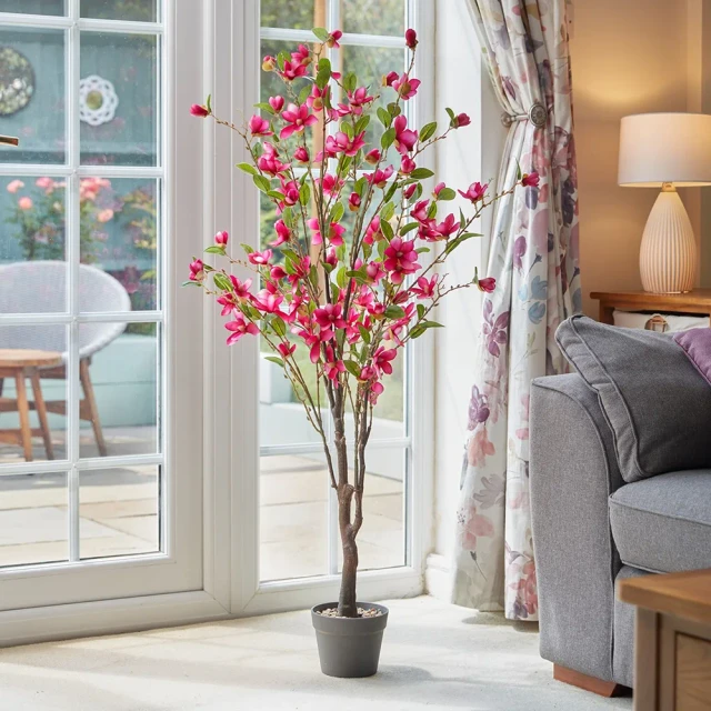 Smart Garden Magnolia Tree 135cm