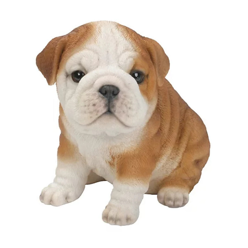 Vivid Arts Pp Bulldog Puppy F