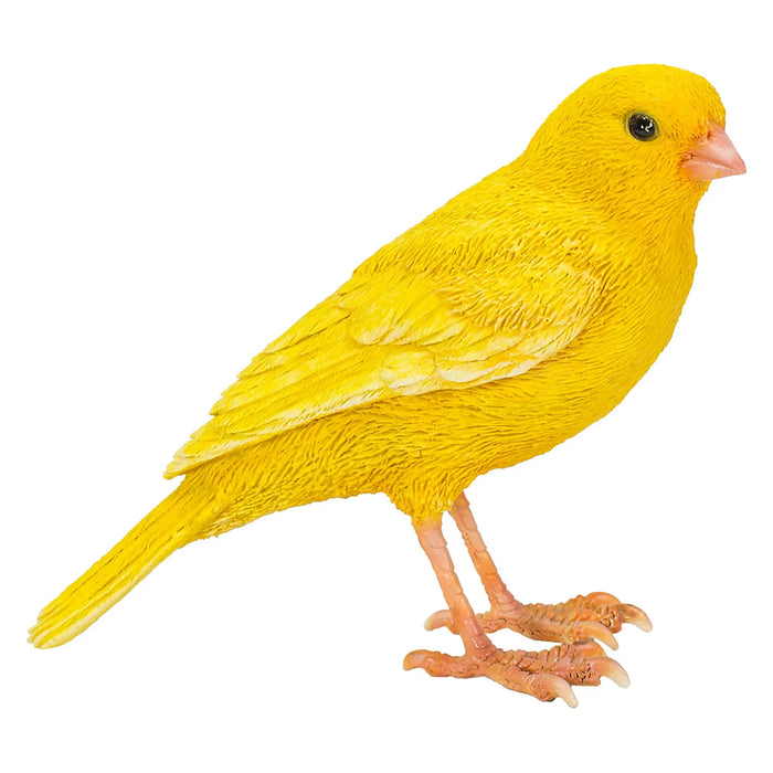 Vivid Arts PP Canary F