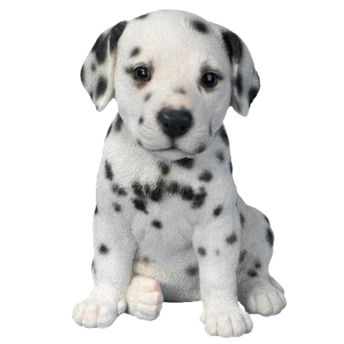 Vivid Arts Pp Dalmatian Puppy F